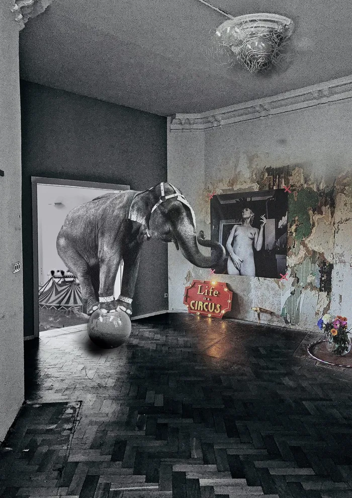 Systemrelevant Circus – Bilderwelten
